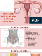 ANATOMIA DE LOS GENITALES FEMENINOS (1)