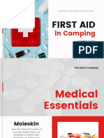 First Aid: in Camping