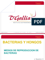 Bacterias y hongos: factores clave de crecimiento