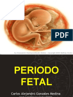 Periodo Fetal Carlos