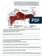 tema geografie