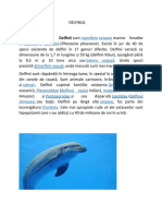 Delfin Ul