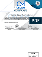 Certificado: Vargas Fung Larry Martin