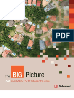 500155030 the Big Picture A2 Elementary SB