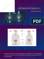 Sistema Glandular