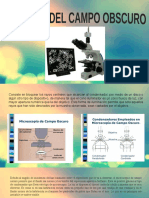 Campo Oscuro Microscopio