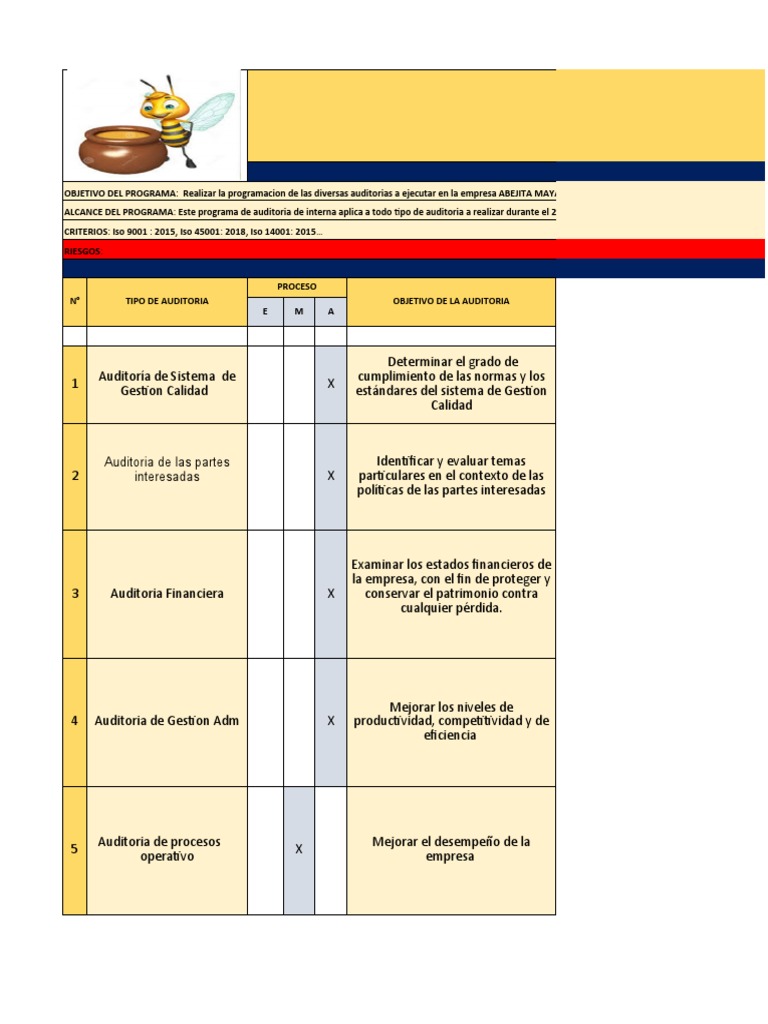 Programa y Plan de Auditorias. 2 | PDF | Auditoría | Calidad (comercial)