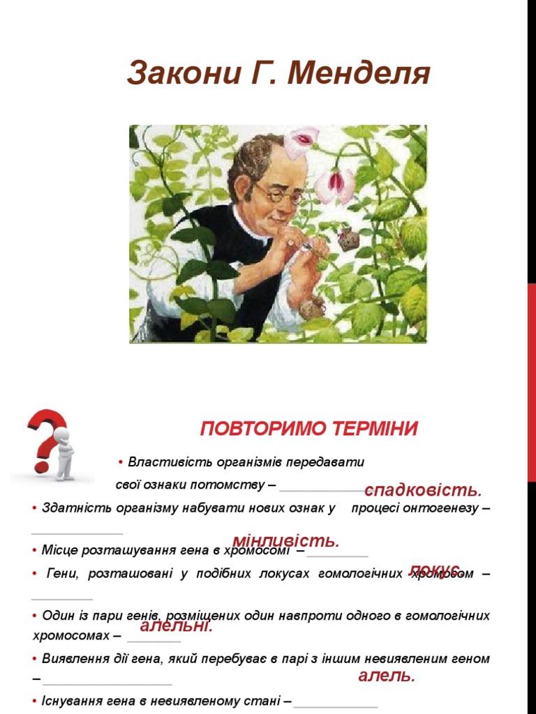 Закони Менделя | PDF
