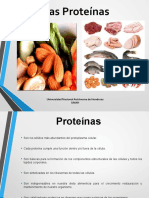 Las proteínas: estructura, función y clasificación