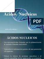 07 Ácidos Nucleicos