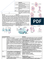 Necrosis y Apoptosis