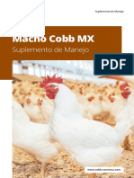Cobb MX Male Supplement Spanish