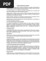 Circuito Productivo del Trigo en Argentina | PDF | Trigo | Harina