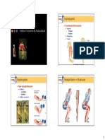 Analise Funcional Da Musculatura 1 - Usp