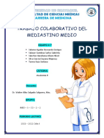 ANATOMIA II - Mediastino Medio