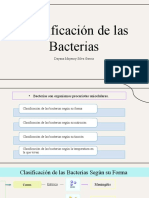 Clasificacion de Las Bacterias