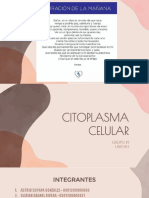 Citoplasma