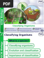 1960’s “US ARMY” JUNGLE FATIGUE PANTS Mufaru | PDF | Organisms | Biology