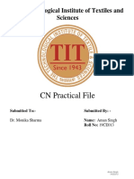 19ce013 Aman CN Practical File