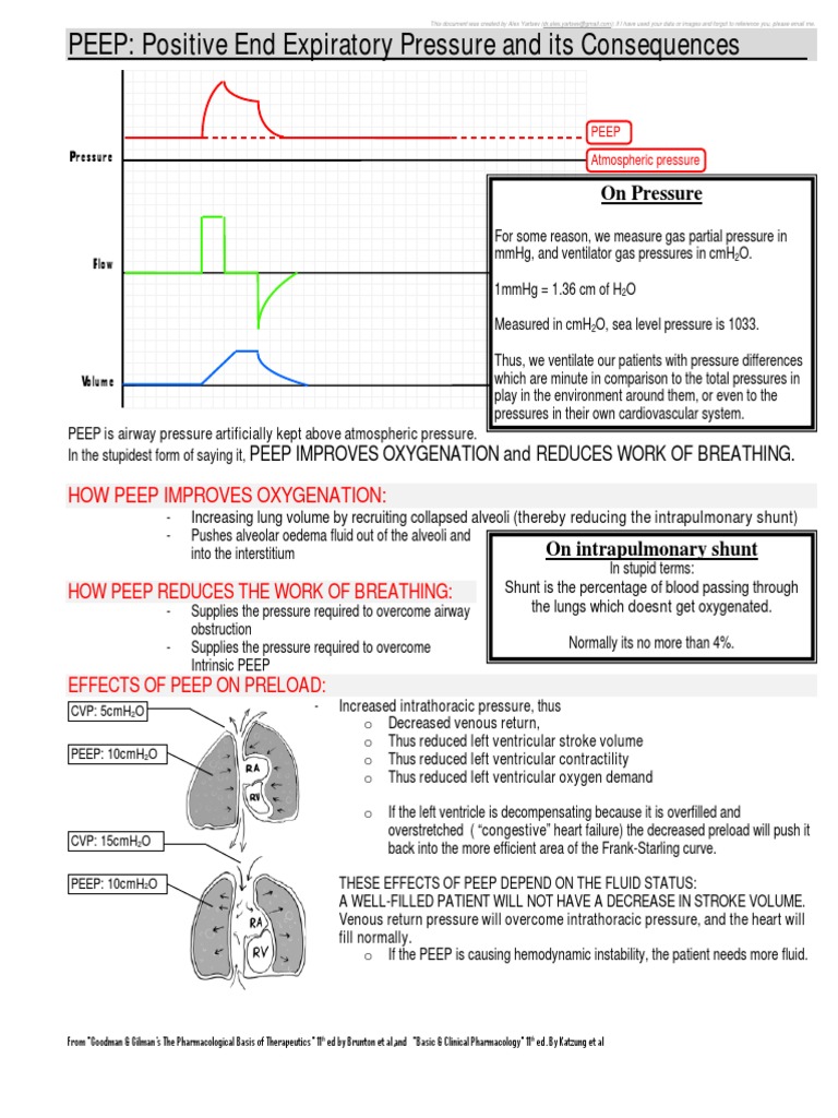 PEEP Positive End Expiratory Pressure and Its Consequences PDF