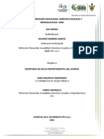 Informe de Sexualidad Rio Inirida