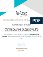 Cristian Chayane Salguero Valero: Certificado de Asistencia Y Aprovechamiento