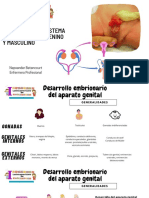 Patologias Del Sistema Reproductor Femenino Y Masculino