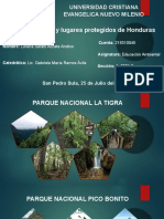 bosques de honduras