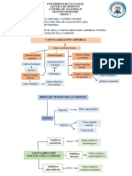 Tarea de Faringe