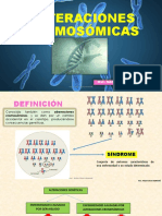 Diapositivas de Alteraciones Cromosómicas