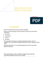 Cyclins and Cyclin Dependent Kinases