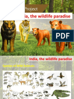 India, The Wildlife Paradise: Title of The Project