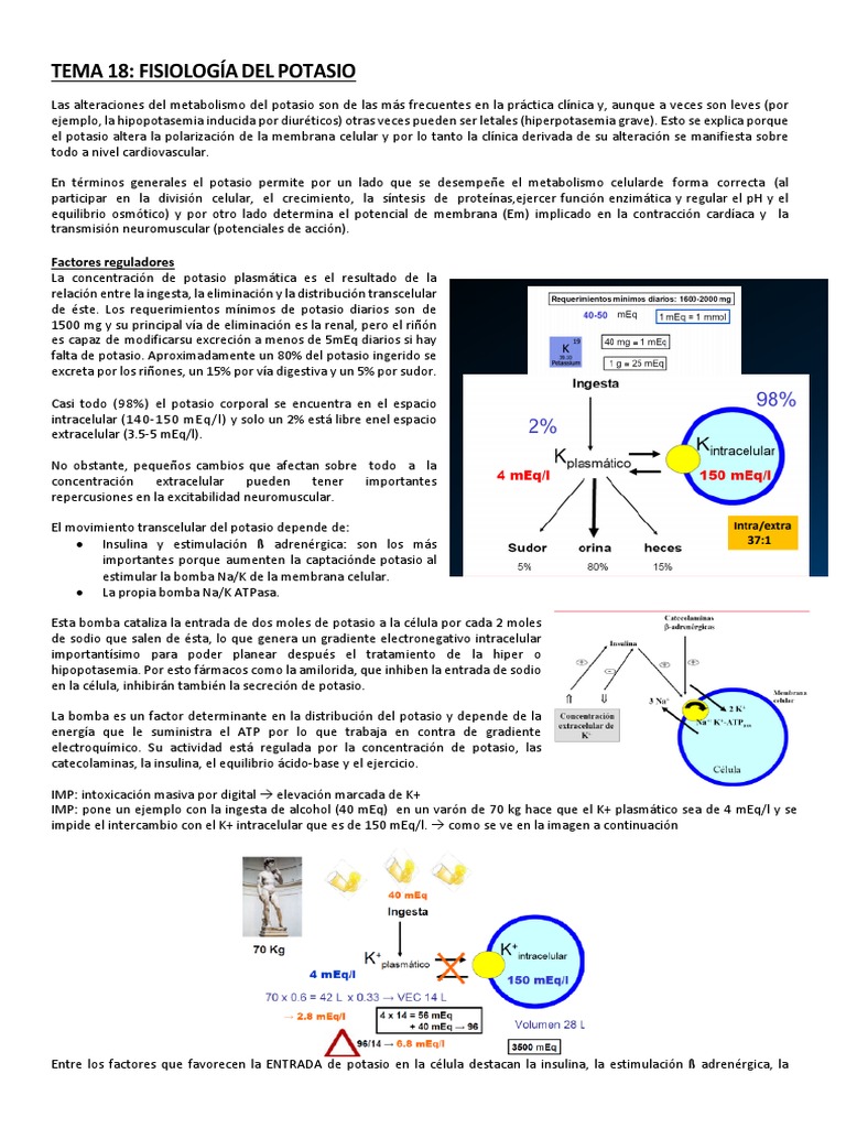 Fisiología del Potasio en Salud Cardiovascular | PDF | Potasio | Química