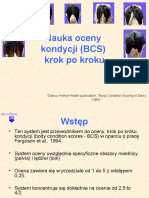 BCS-nauka Oceny AMH 2021