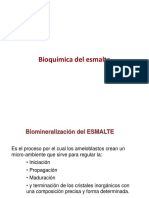 Bioquimica Del Esmalte - 2019