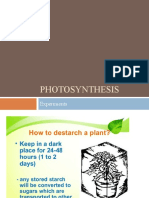 Investigating Photosynthesis