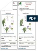 Guias - Naturales - 301 - Del 14 Al 18 de Febrero