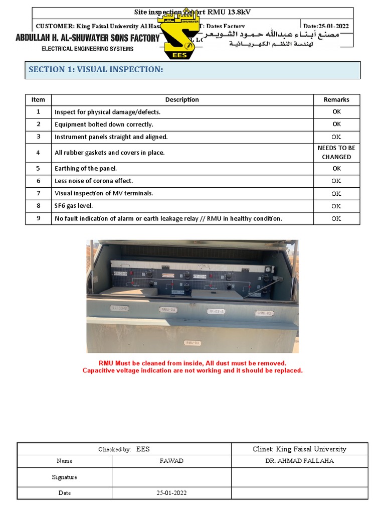Section 1: Visual Inspection:: Item Description Remarks | PDF