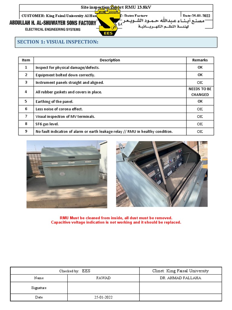 Section 1: Visual Inspection:: Item Description Remarks | PDF