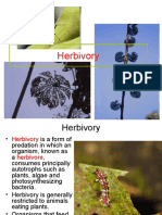 6 Herbivory