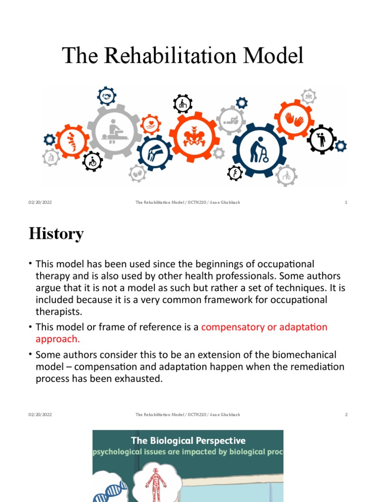The Rehabilitation Model | PDF | Physical Therapy | Cognition