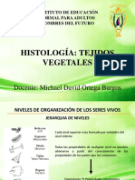 Clase 2 - Histología - Tejido Vegetal