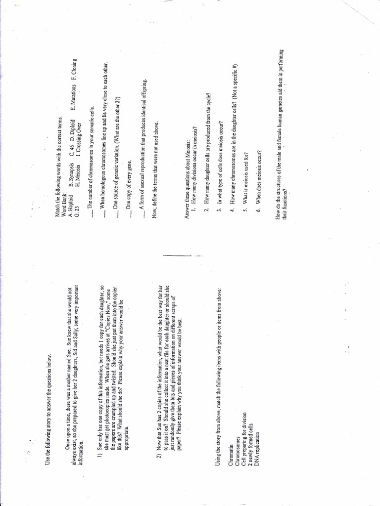 Mm2 pdf