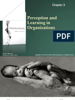 Perception and Learning in Organizations: Mcgraw-Hill/Irwin Mcshane/Von Glinow Ob 5E