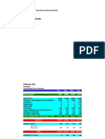 Pallwood SRL: Operational and Investments Plan Financials