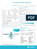 formulario-Heridas