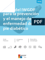 IWGDF Guidelines 2019_Spanish Pie Diabetico