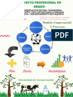 Implementación de Una "Ganadería Inteligente" Tipo Leche para La Región Amazónica - Departamento de Caquetá.