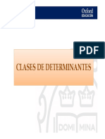 02 Presentacion Clases Determinantes-1