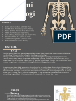 Anatomi Osteologi Kel.1